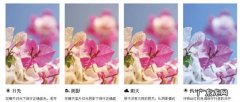 室内拍摄白平衡后期如何调,相机的色温和白平衡很多人都把它两弄反了