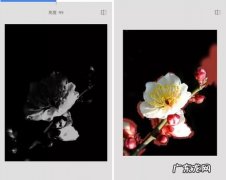 怎么拍出背景全黑,手机怎么拍黑色的照片