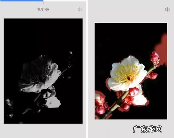 怎么拍出背景全黑,手机怎么拍黑色的照片