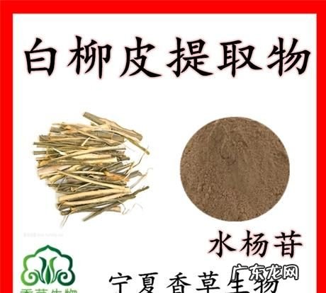 白柳树皮提取物的功效与作用,汉方宣言洗发水怎么样