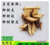 白柳树皮提取物的功效与作用,汉方宣言洗发水怎么样
