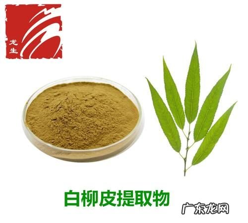 白柳树皮提取物的功效与作用,汉方宣言洗发水怎么样