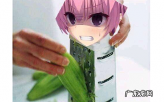 小加加锉刀什么梗,三司绫濑为什么叫锉刀