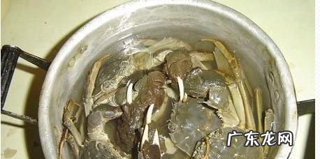 螃蟹怎么洗才干净又简单,怎样洗螃蟹洗得干净