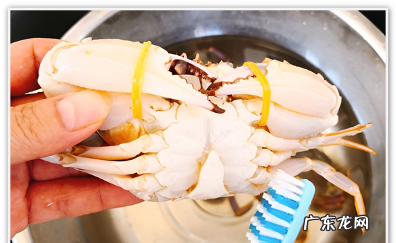 螃蟹怎么洗才干净又简单,怎样洗螃蟹洗得干净