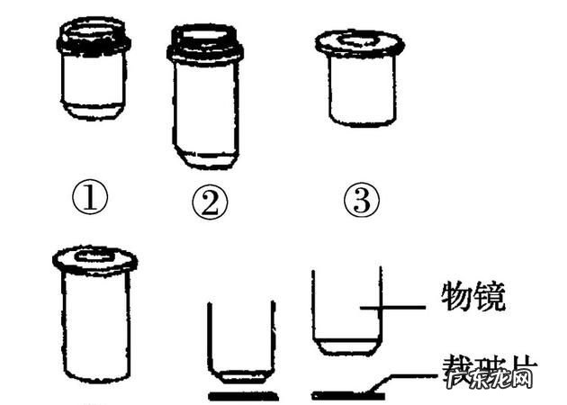 目镜起什么作用,天文望远镜物镜和目镜的作用