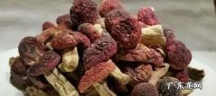 假红菇满山红能吃吗,如何挑选红菇