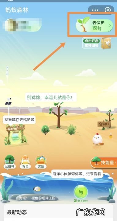 支付宝怎么种树,支付宝怎么种树苗