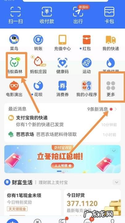 支付宝怎么种树,支付宝怎么种树苗