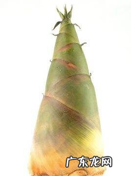 刚竹笋能吃吗,小区旁边挖的竹笋可以直接吃