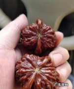 新核桃刷多久才能上手盘玩,文玩核桃刷油后多久才能盘玩