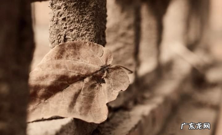 如何拍出有质感的照片,怎么拍有时间的水印照片