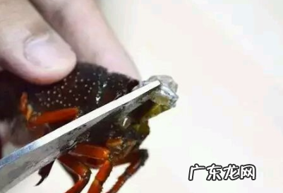 盱眙十三香龙虾调料配方,正宗盱眙十三香小龙虾怎么做