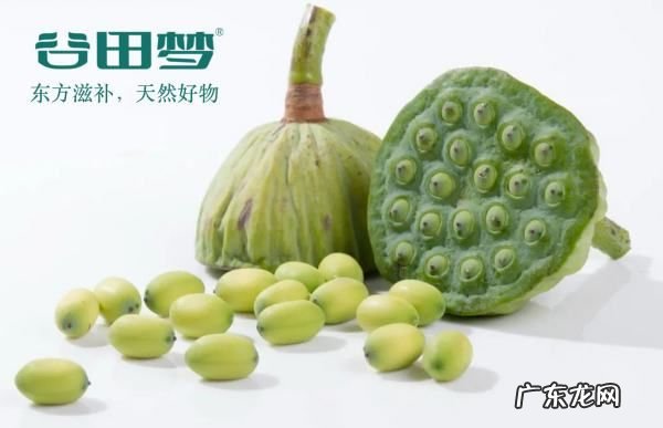长期吃莲子有什么好处,莲子的功效与作用