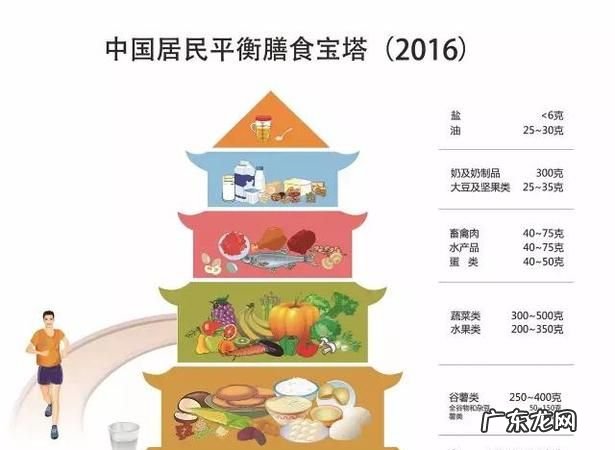 食物分五大类分别是,食物分为哪5类 科学