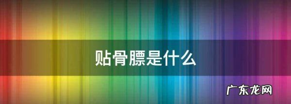 贴骨膘是什么,贴秋膘是什么意思