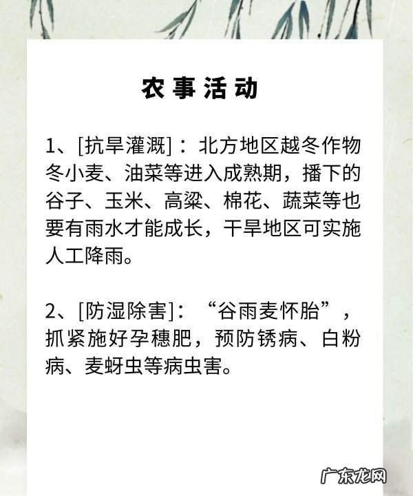 中医里关于谷雨节气的说法,谷雨节气的由来及养生方法是什么