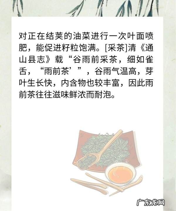 中医里关于谷雨节气的说法,谷雨节气的由来及养生方法是什么