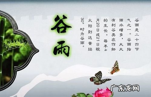中医里关于谷雨节气的说法,谷雨节气的由来及养生方法是什么