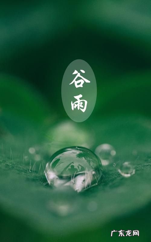 中医里关于谷雨节气的说法,谷雨节气的由来及养生方法是什么