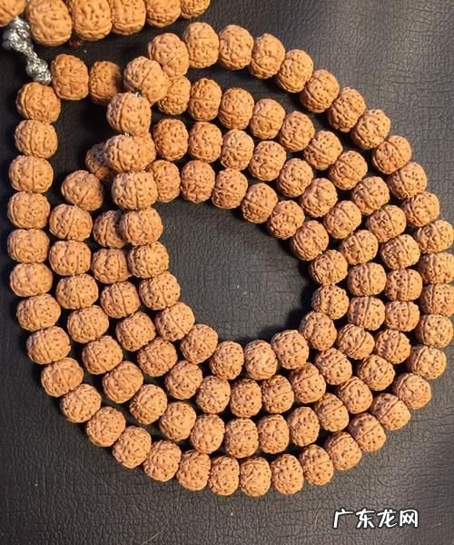 小金刚菩提怎么养,金刚菩提手串有什么寓意