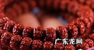 小金刚菩提怎么养,金刚菩提手串有什么寓意