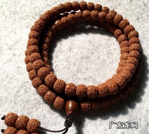 小金刚菩提怎么养,金刚菩提手串有什么寓意