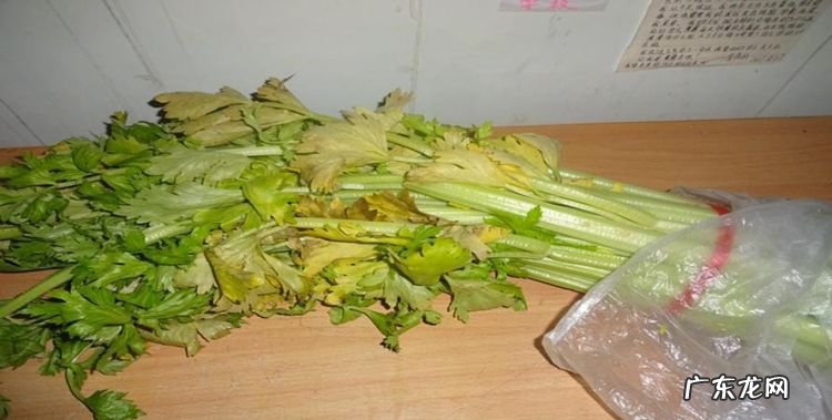 不新鲜蔬菜怎么处理,超市里那些烂掉的或者是不新鲜的水果英语