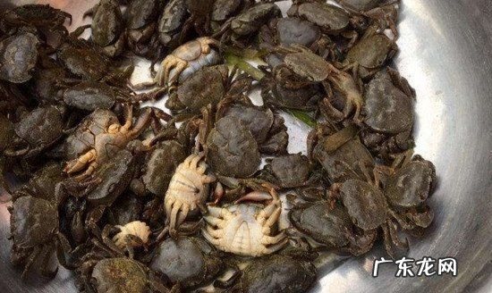 活螃蟹怎么保存过夜,买回来的活螃蟹怎么保存过夜