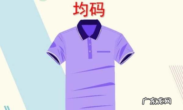 尺码free是什么码,内衣尺寸free是多大