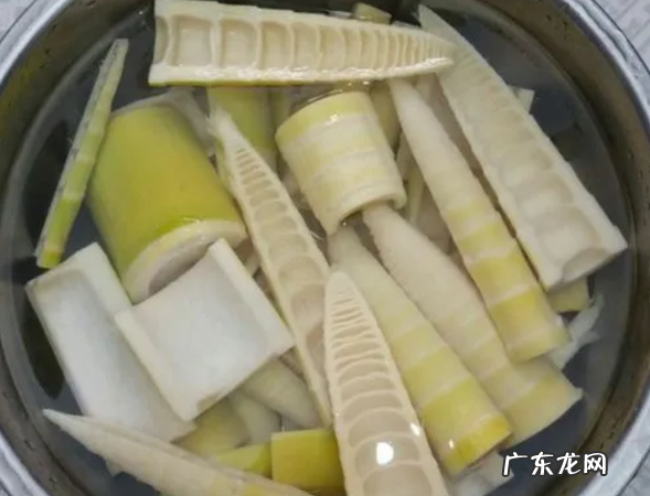 煮熟的春笋怎么保存,煮过的竹笋怎样保存时间长也新鲜