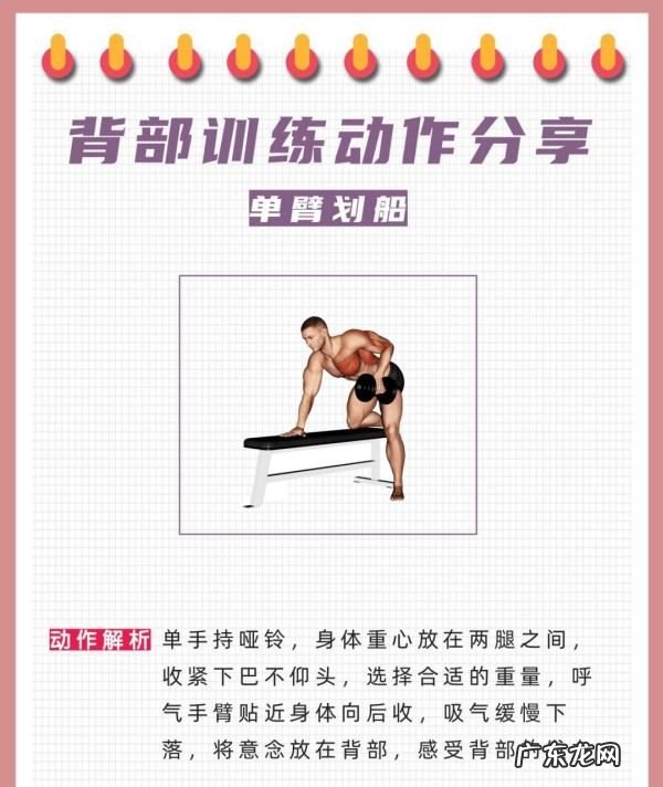 力量训练有哪些动作,力量训练有哪些项目和动作
