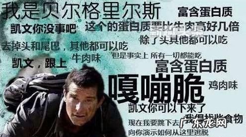 内味儿什么梗,有内味了怎么接梗