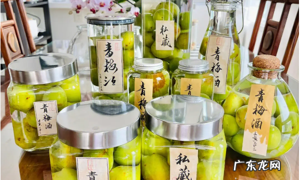 如何泡制青梅洒,青梅泡酒的方法