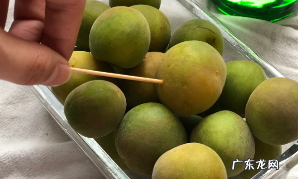 如何泡制青梅洒,青梅泡酒的方法