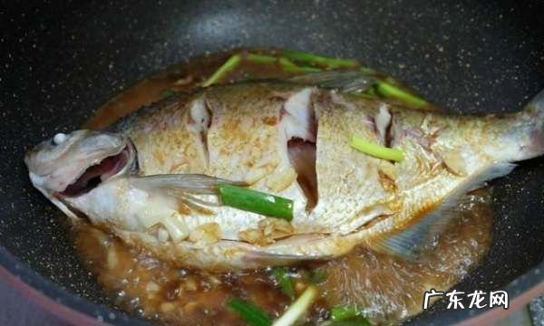 南昌鱼的做法,川味红烧甲鱼的家常做法
