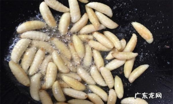 蜂蛹怎么吃最有营养,蜂蛹的最佳食用方法
