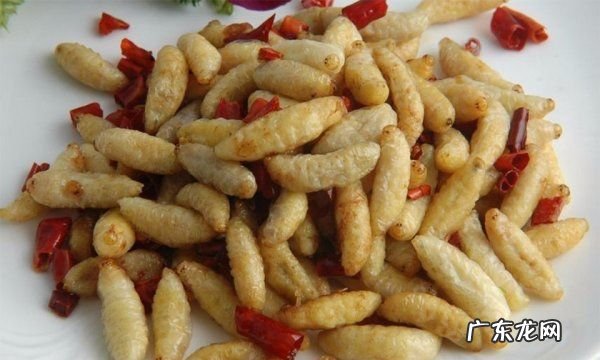 蜂蛹怎么吃最有营养,蜂蛹的最佳食用方法