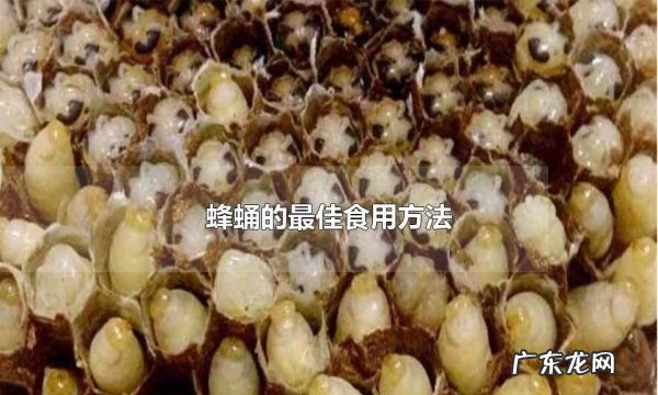 蜂蛹怎么吃最有营养,蜂蛹的最佳食用方法