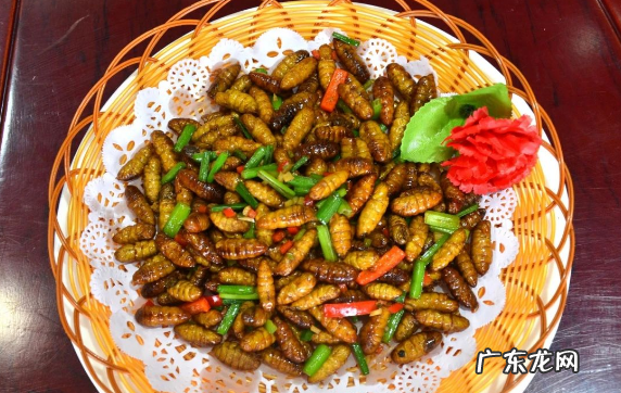 蜂蛹怎么吃最有营养,蜂蛹的最佳食用方法