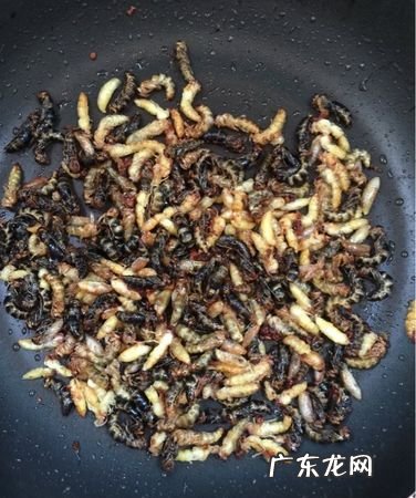 蜂蛹怎么吃最有营养,蜂蛹的最佳食用方法