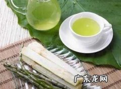 铁皮石斛怎么正确吃,铁皮石斛怎么吃是正确的