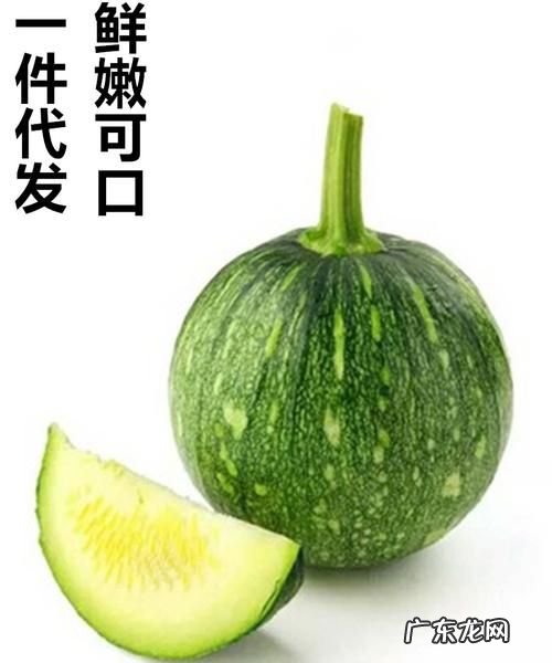 绿皮小南瓜营养价值功效,绿南瓜的功效与作用