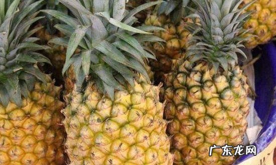 手撕凤梨的功效与作用,吃凤梨有什么好处