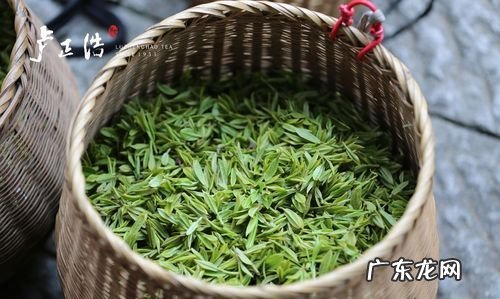 明前茶和雨前茶有什么区别,雨前茶和明前茶的区别是什么