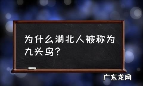 九头鸟反应了湖北人什么性格,九头鸟比喻什么样的人