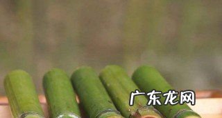 为什么竹子用盐水煮,为什么竹子用盐水煮多久