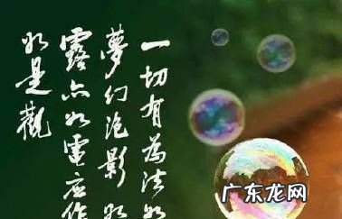 法身慧命是指什么,《金刚经》详解:第二品——法会因由分