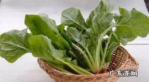 菠菜和火龙果能同吃,菠菜和火龙果可以一起吃婴儿