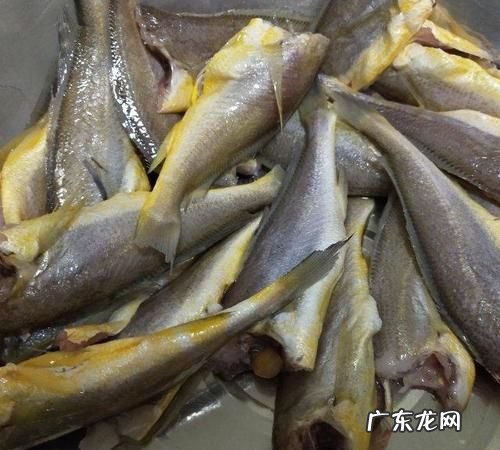 去头小黄鱼要去内脏,小黄花鱼需要去内脏
